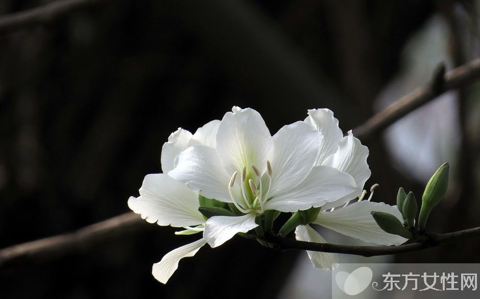 如何保护眼睛  推荐日常护眼10个小窍门