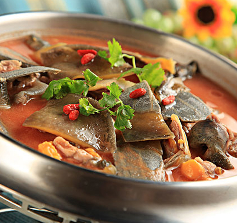 揭甲鱼的营养价值 最佳滋补佳品