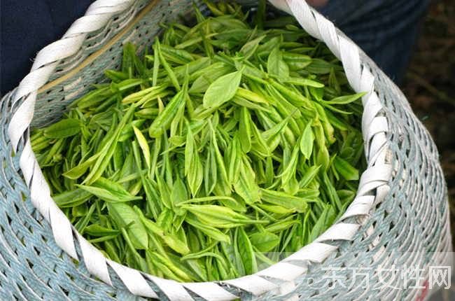 怎么保存茶叶 5大家庭保存方法