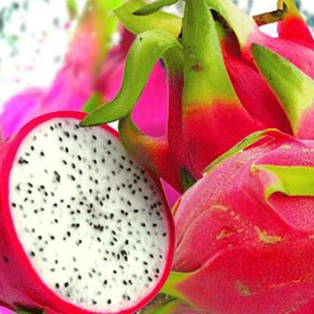 吃火龙果上火吗 告诉你吃火龙果的正确方法