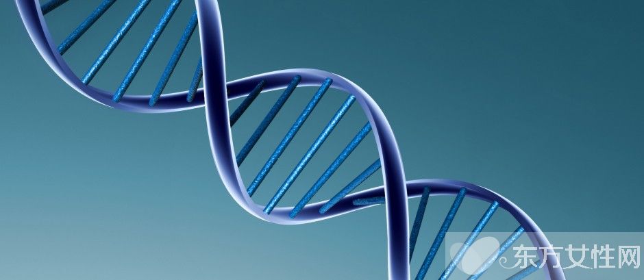 什么是染色体核型分析 染色体核型分析报告怎么看