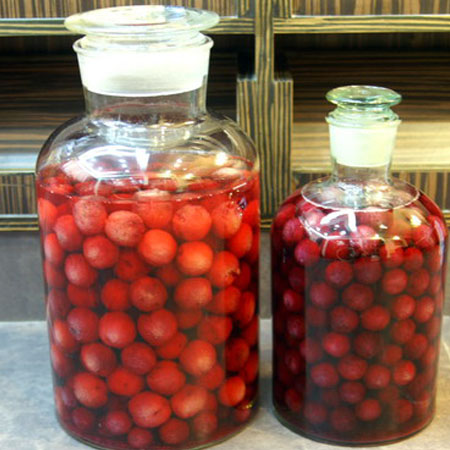 杨梅泡酒的功效有哪些 杨梅泡酒的配方