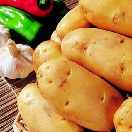 土豆长芽了还能吃吗 土豆的营养做法