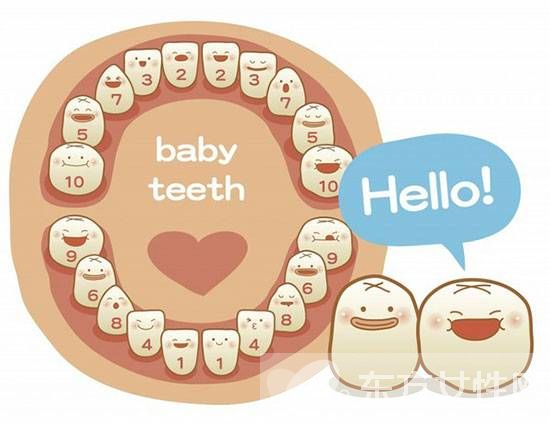 宝宝长牙顺序及时间 这些方面一定要注意哦