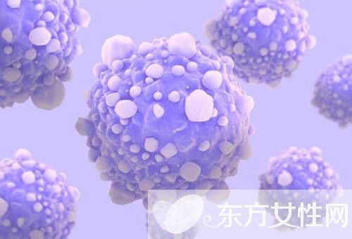 风疹病毒是什么 风疹病毒的症状有哪些