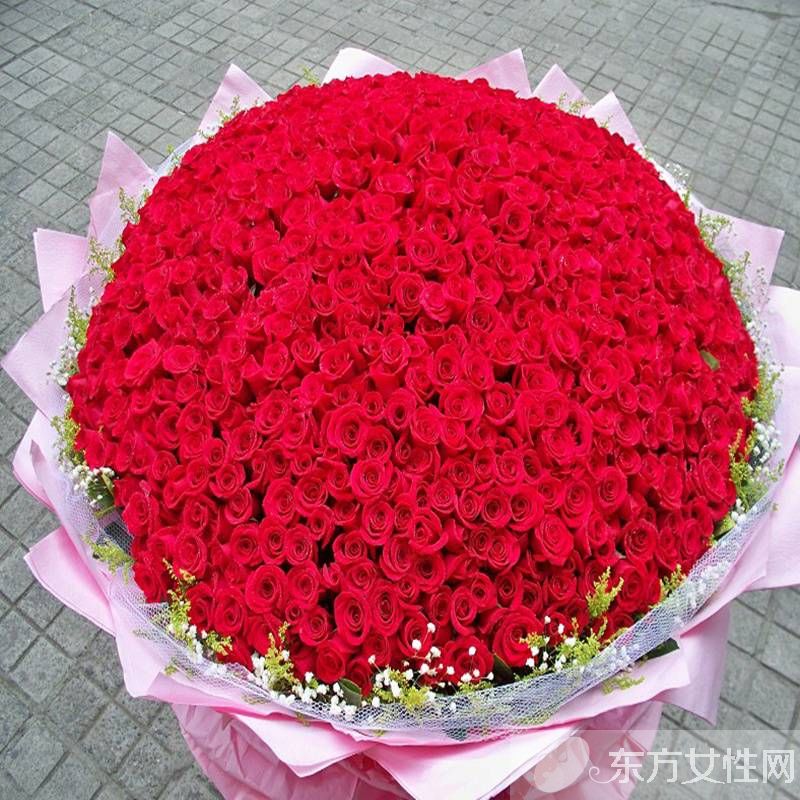 英国国花是什么 玫瑰花代表的寓意