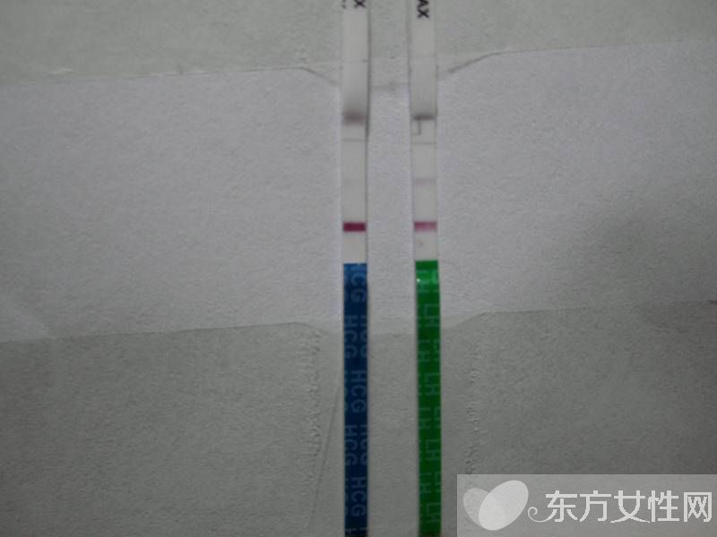 验孕试纸的使用方法 验孕试纸多久能测出来