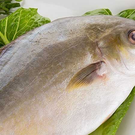 鲳鱼的营养价值和食用功效都有哪些