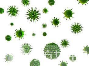 巨细胞病毒是什么 巨细胞病毒感染的症状