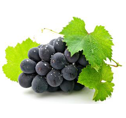 家庭自制葡萄酒的方法 7步教你酿出美味葡萄酒