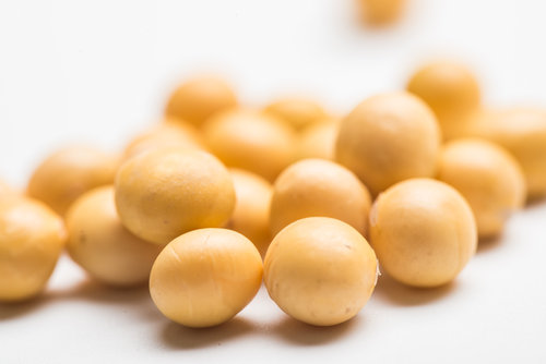 补钙的最佳时间是什么时候 哪些食物可以补钙