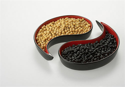 黑豆的作用有哪些 强肾固肾又美颜