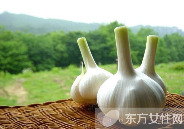 夏天野外室内驱蚊方法 几个妙招令蚊子消失的无影踪