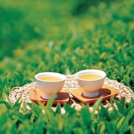 绿茶的好处 想不到喝绿茶竟有这功效