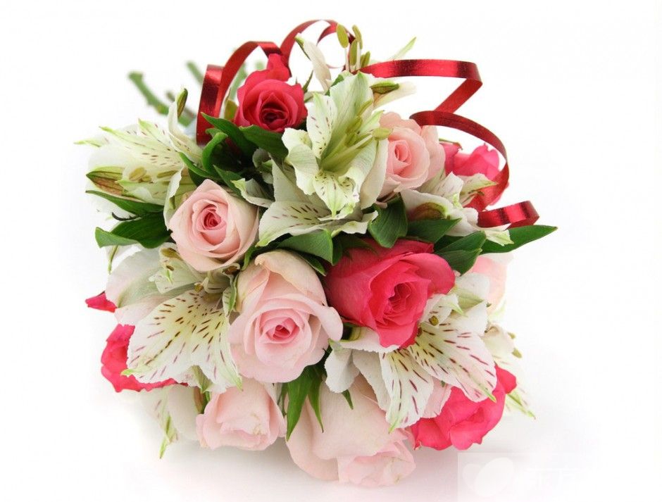 33朵玫瑰代表什么 玫瑰花的花语是什么