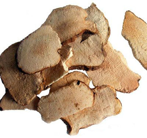 揭密土茯苓的副作用 过敏者需谨慎