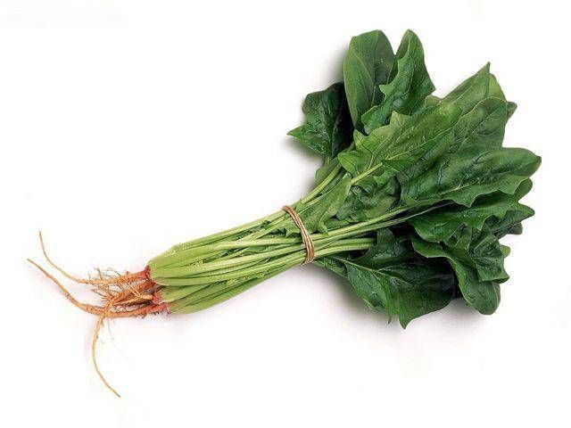 提高记忆力的5种科学的方法+12种能增强记忆力的食品