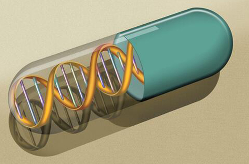 维他命b3有什么功能作用 揭维他命B3含量前十食物