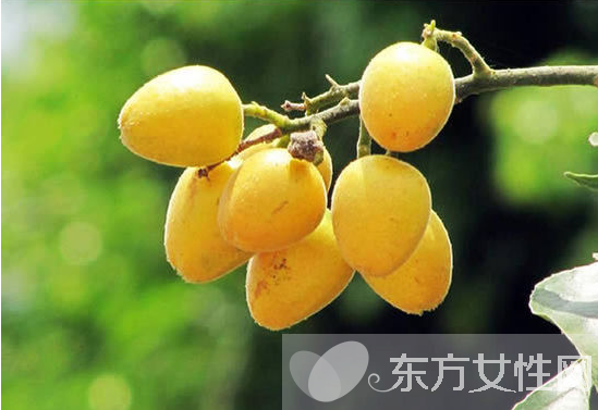 黄皮的功效与作用有哪些 教你如何挑选黄皮果