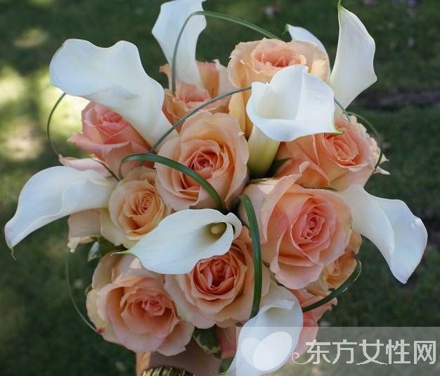 玫瑰的花语是什么 玫瑰的药用价值居然这么庞大