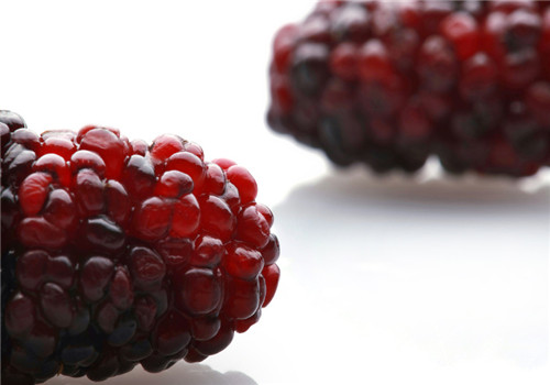 桑果的功效有哪些 体质偏寒需注意