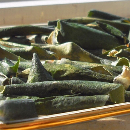 冬瓜皮的作用有哪些 它竟还能拿来吃