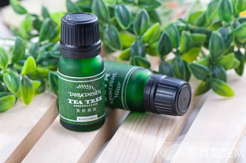 茶树精油的功效与作用 茶树精油的四大使用方法