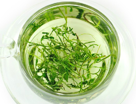 绞股蓝泡水喝的功效 绞股蓝食用方法