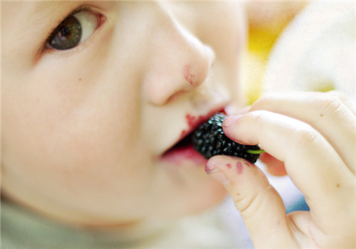 桑果的功效有哪些 体质偏寒需注意