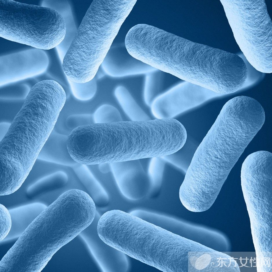 风疹病毒是什么 风疹病毒的症状有哪些