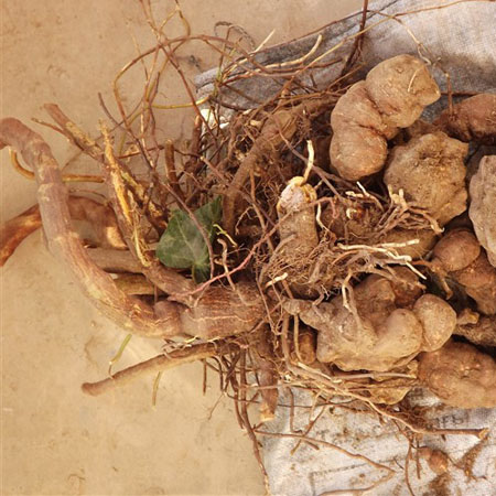 怎样防止衰老 3大抗老秘籍让你永远18岁