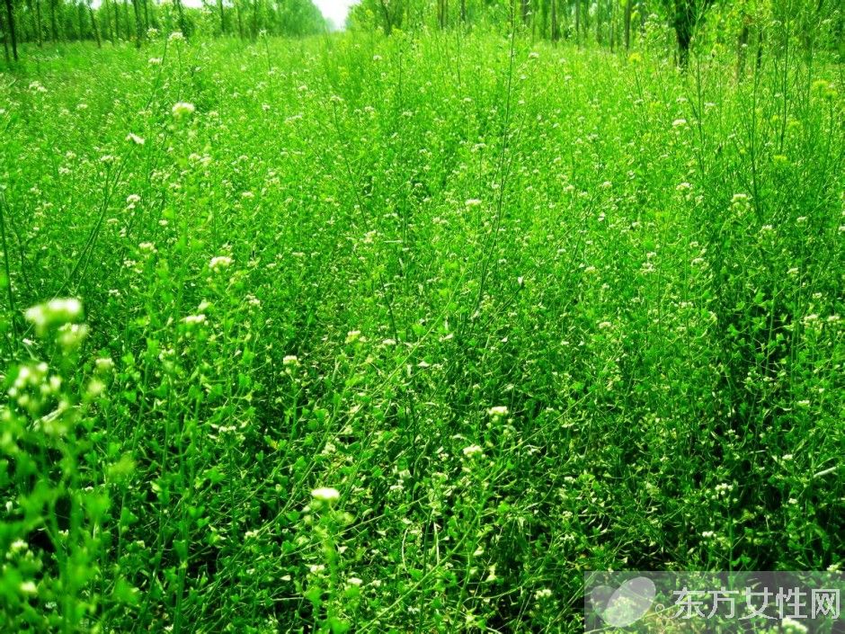 如何缓解眼睛疲劳 吃什么对眼睛好