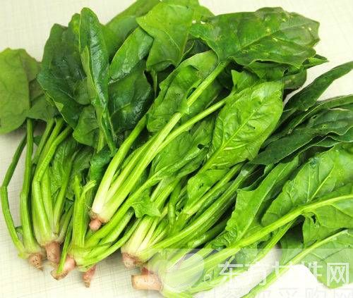 碱性食品有哪些 多吃这些食物可以延缓衰老哦