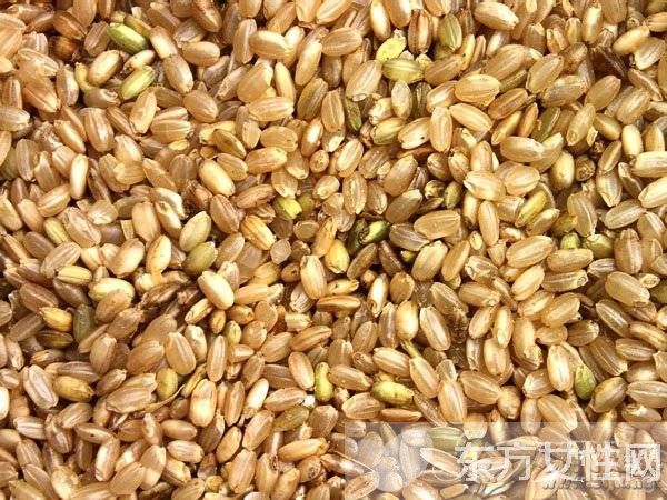 糙米可以减肥吗 糙米瘦身4大黄金法则