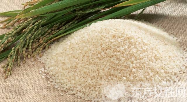粳米的功效与作用及食用方法 这些吃法你试过吗
