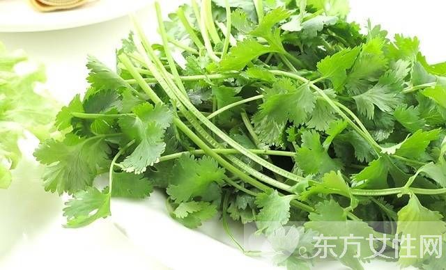 香菜的功效与作用及禁忌 这些人群最好少吃香菜