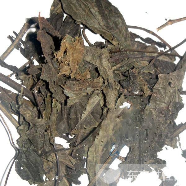 苏叶的功效与作用 这些妙用很多人都不知道哦