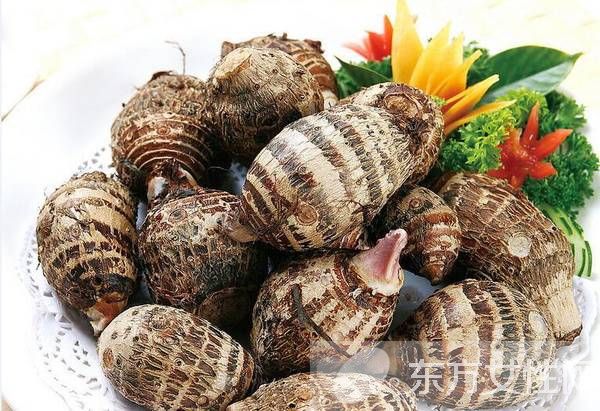 芋头怎么吃好 两大芋头做法让你尝尽美味