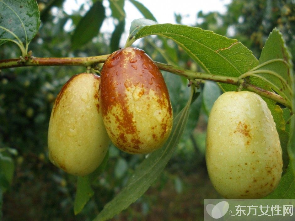 四十岁女人皮肤保养 常吃这些水果胜过任何护肤品