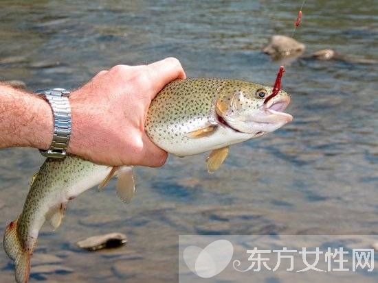 新妈妈须知 孕妇必吃的12种食物