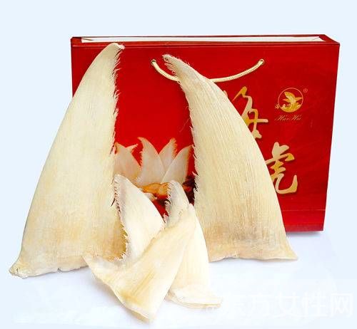 你知鱼翅怎么发吗 鱼翅烹饪时需注意9要点