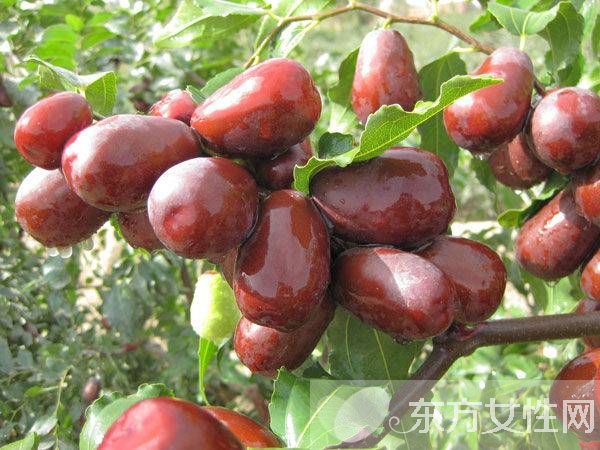 常见的清肠降脂食物有哪些 分享6个养生小常识