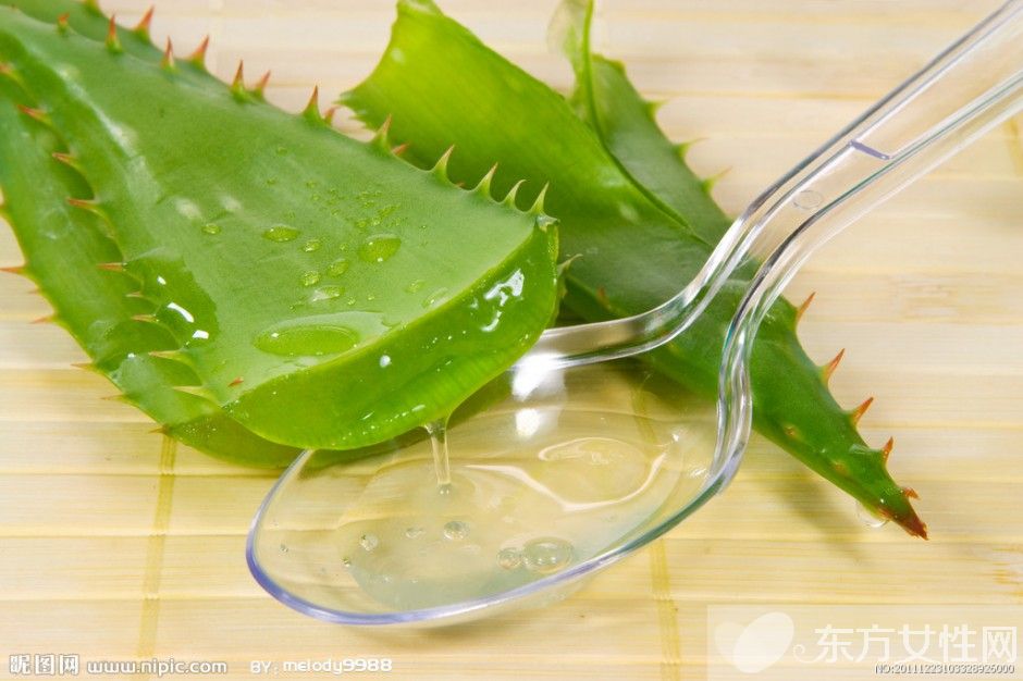 芦荟怎么美容 教你使用新鲜芦荟的美容方法