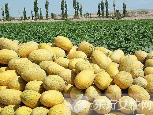 吃哈密瓜上火吗 哈密瓜的4大养生功效你知道吗
