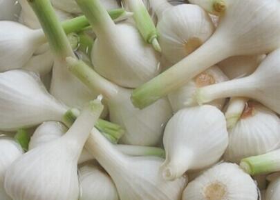 蒜头的腌制方法有哪些 如何腌制才会更好吃