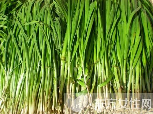 孕妇可以吃韭菜吗 孕妇吃韭菜的好处