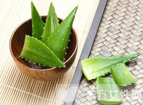 芦荟怎么美容 教你使用新鲜芦荟的美容方法