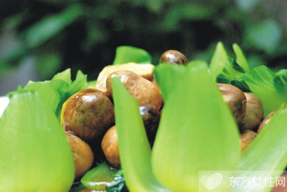 草菇的营养价值有哪些 推荐草菇的两大食疗法