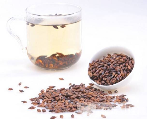 大麦茶的功效与禁忌有哪些 6大禁忌需注意