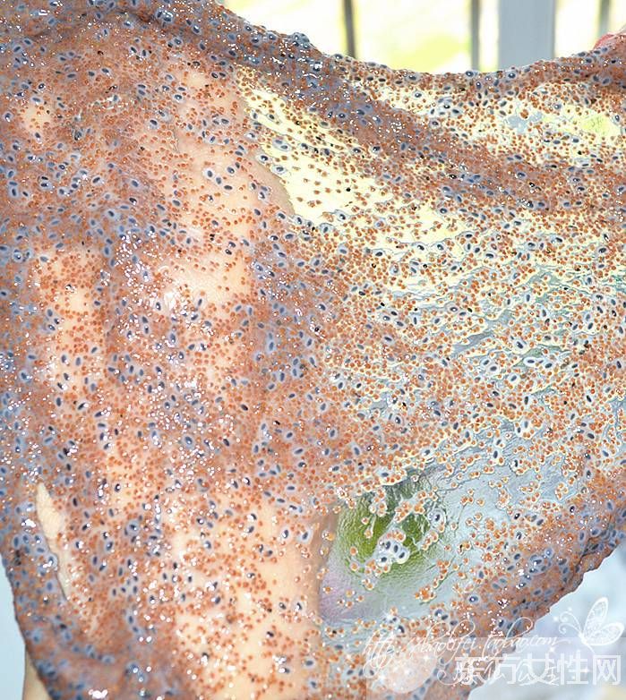 海藻面膜的使用方法 面膜多久敷一次好